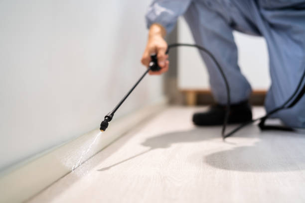 Licensed Ant Control service in Throop, PA - Show Me Pest Control