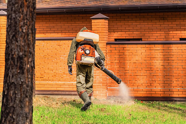 Top rated local Ant Control specialists in Throop, PA